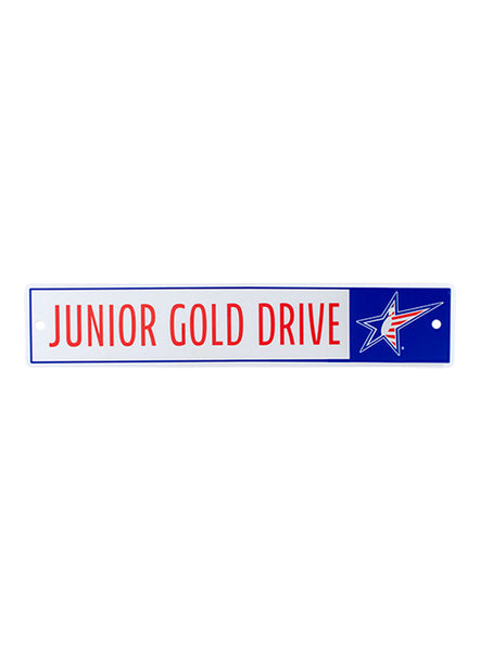 Junior Gold "Drive" Street Sign - Front View